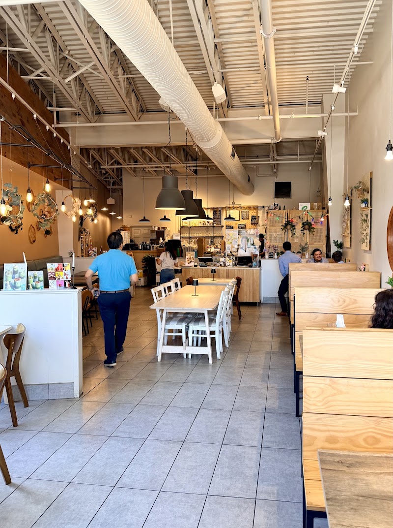 Ocha Thai Kitchen and Cafe photo 2