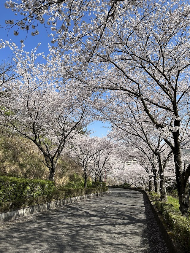 Sakaide Country Club - Photo 8