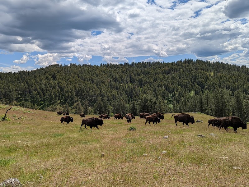 Schuerman Ranch - Photo 4