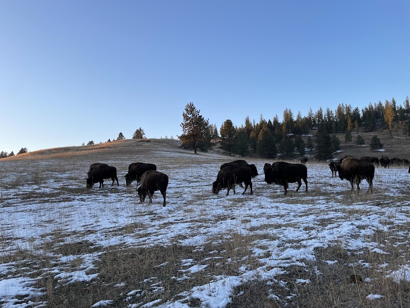 Schuerman Ranch - Photo 2