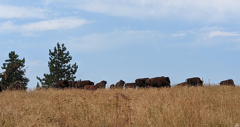 Schuerman Ranch - Photo 3