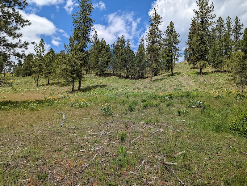 Schuerman Ranch - Photo 1