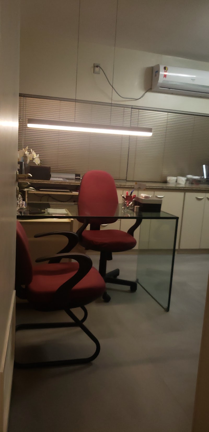 Dra Socorro Lyra Didier - foto 2