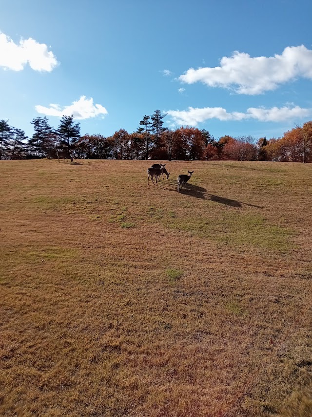 Esashi Country Club - Photo 4