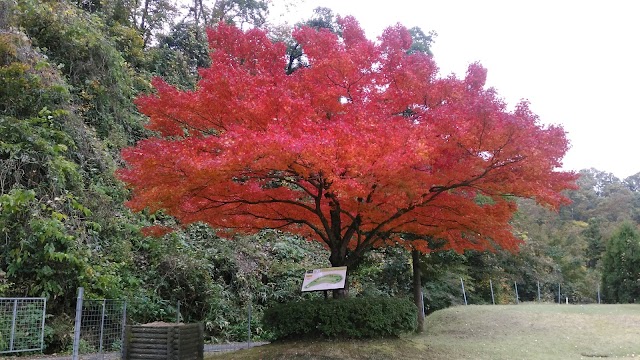 Kanazawa Central Country Club - Photo 7