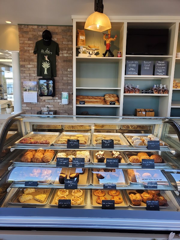 Photo by Naeim Torkian