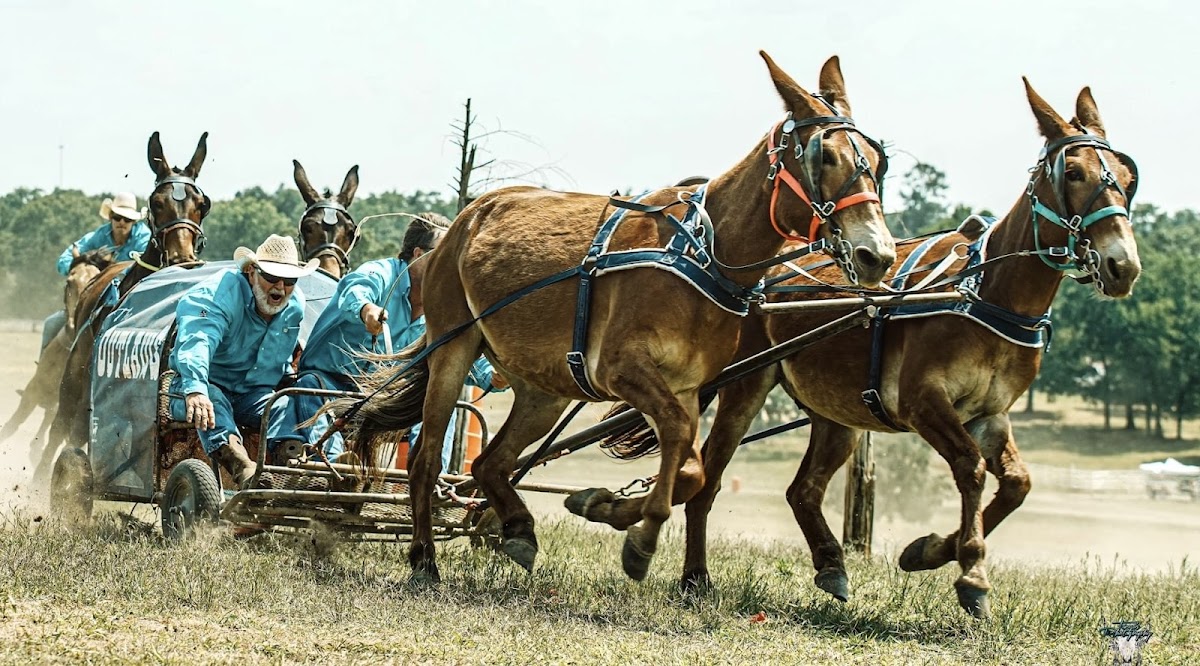 Whiskey Ridge Ranch