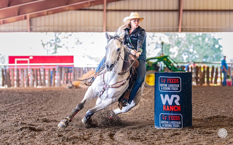 Whiskey Ridge Ranch - Photo 2