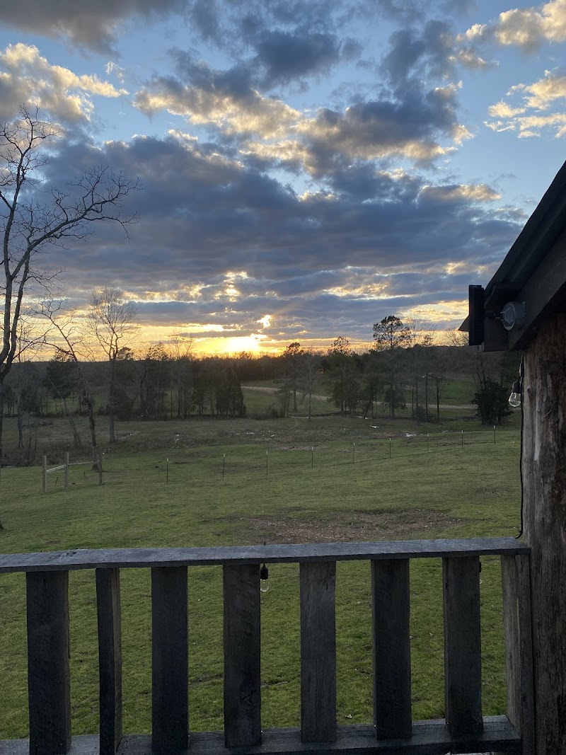 Whiskey Ridge Ranch - Photo 1
