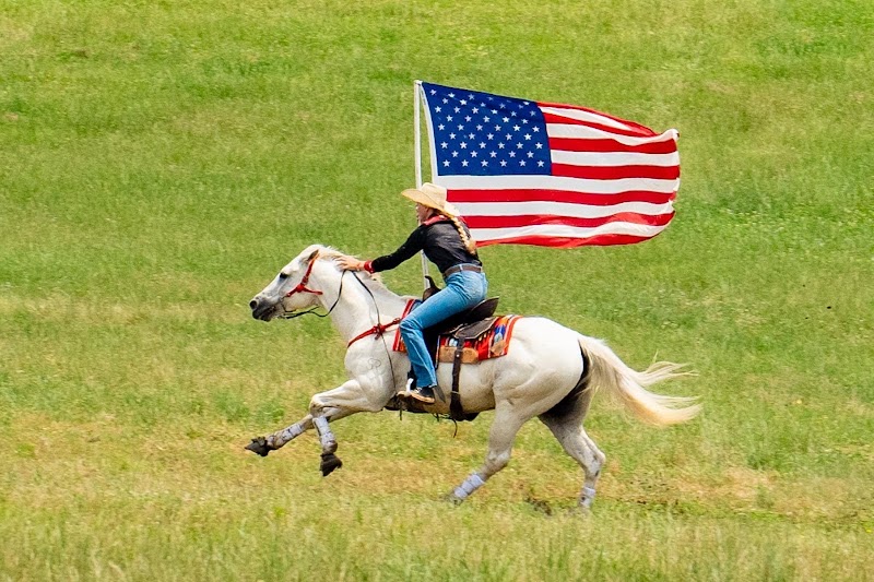 Whiskey Ridge Ranch - Photo 4
