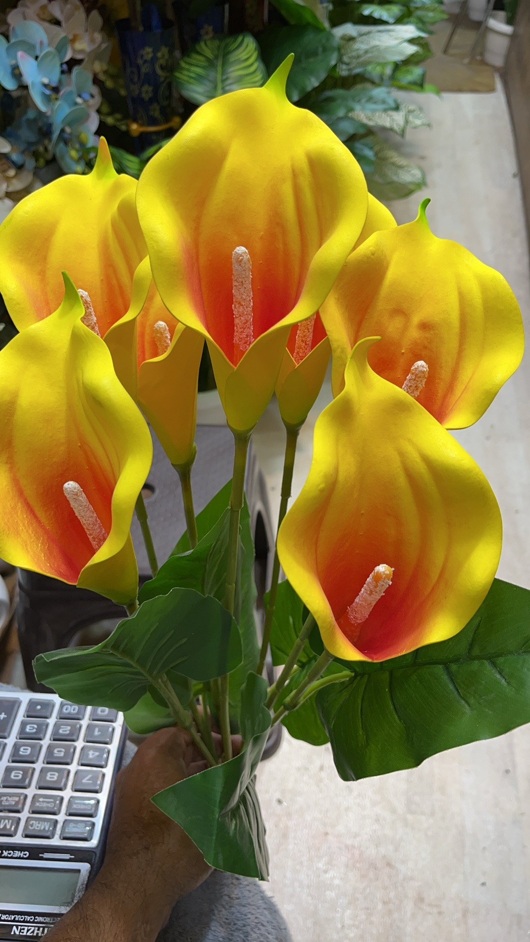 Guangzhou Youfangran Garden Flowers and Plants Co.,Ltd.