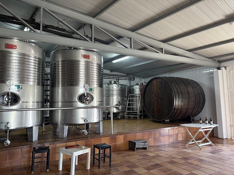 Bodega Casa da Barca photo 4