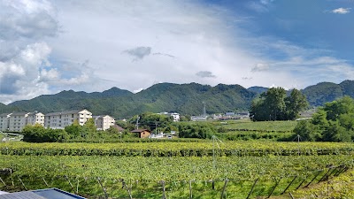 Katsunuma Winery - 4