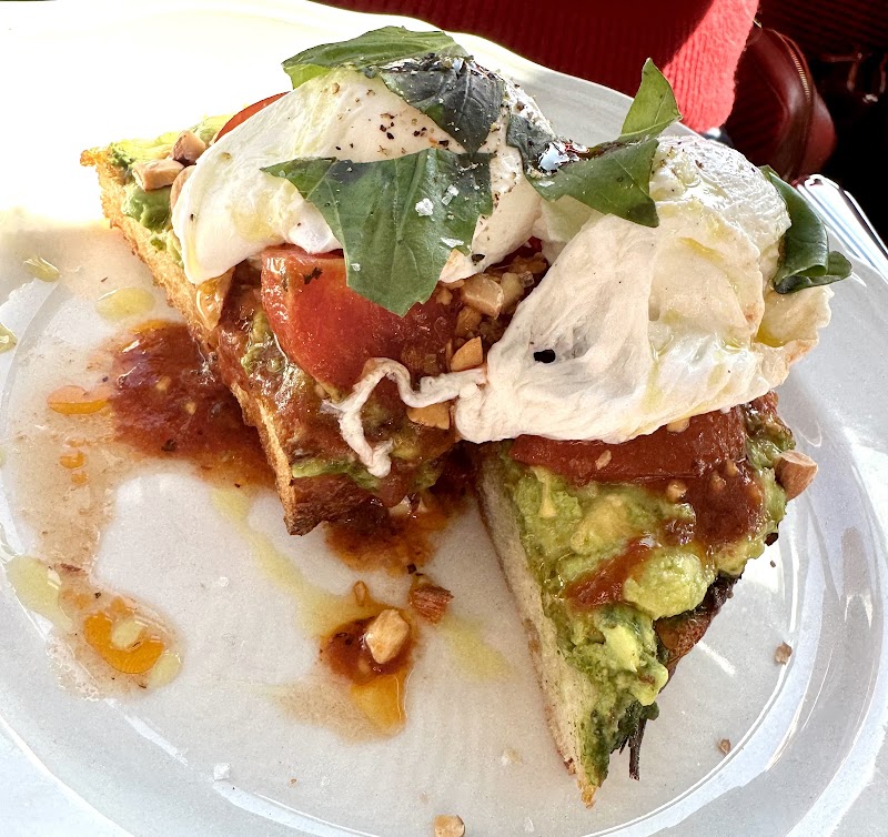 Contessa Boston photo 2