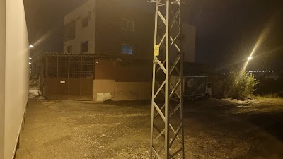 Horoz alya tavukçuluk - Nakliyat
