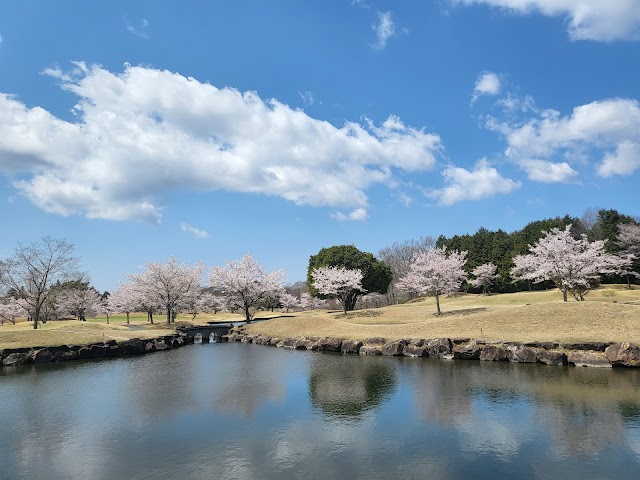 Matou Golf Club - Photo 9