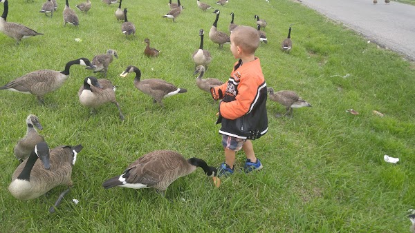 Photo by Dena McCune