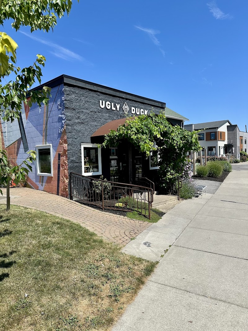 Ugly Duck Coffee photo 4