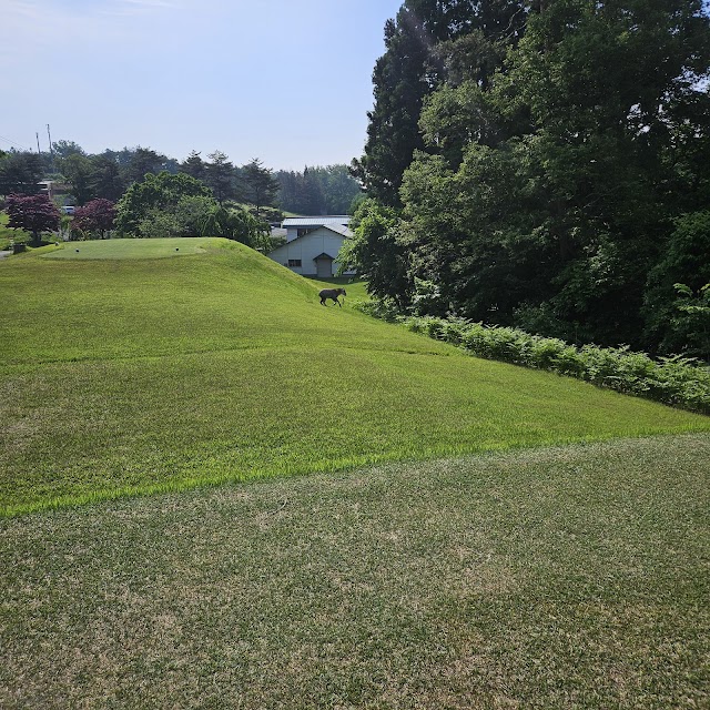 Ugo Country Club - Photo 9