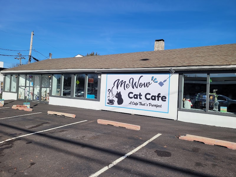 MeWow Cat Cafe photo 1