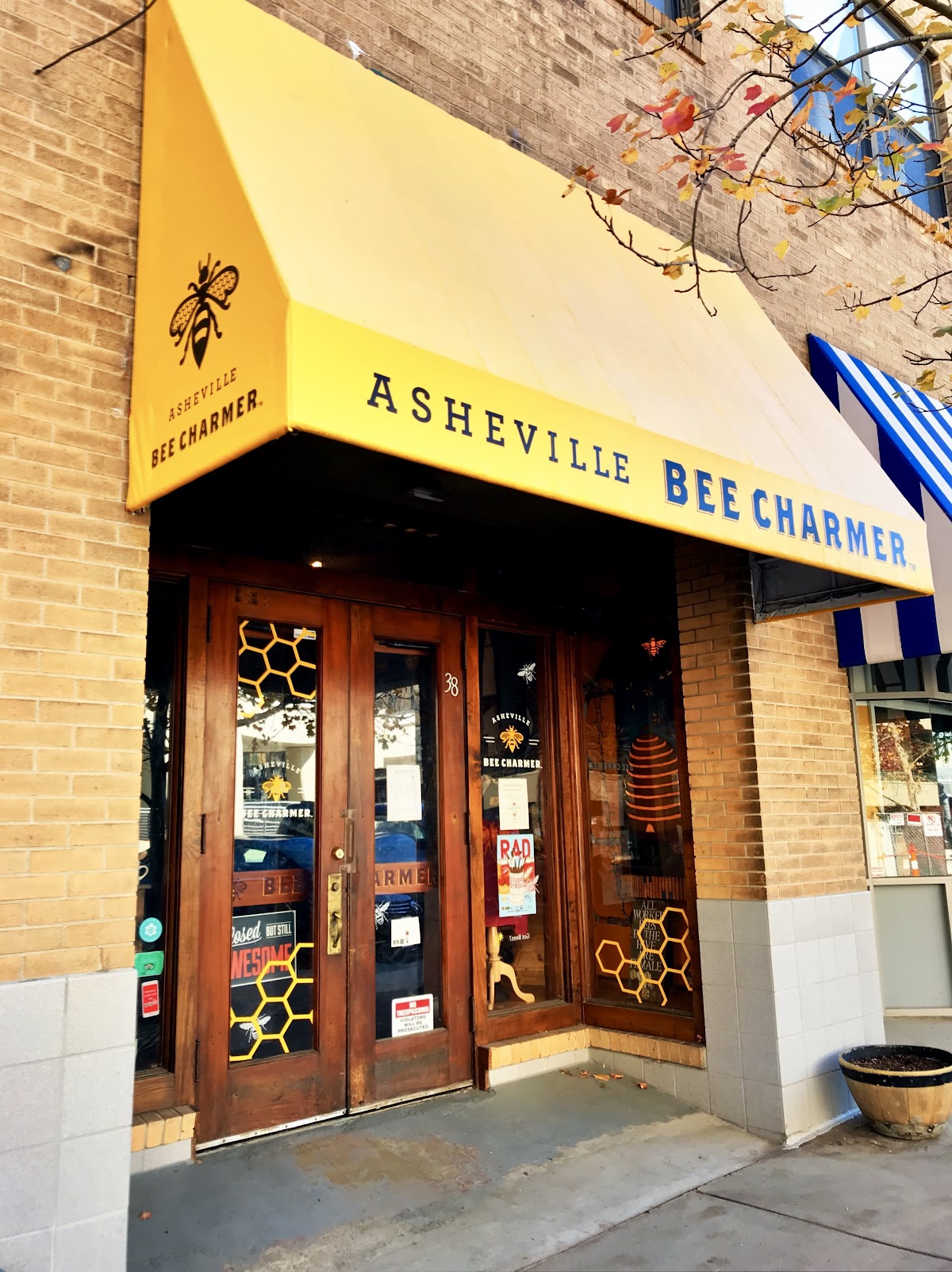 Asheville Bee Charmer