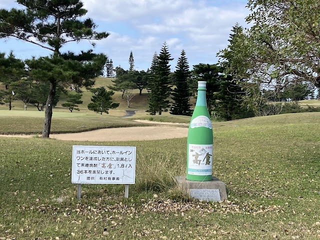 Amami Country Club - Photo 4