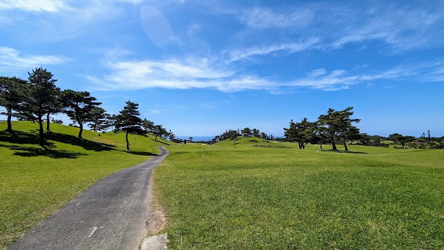 Amami Country Club - Photo 6