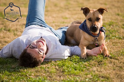 Dog Harmony Training | אילוף כלבים בפרדס חנה | טל יוגב