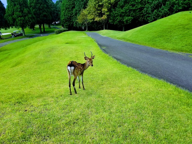 Yufu Kogen Golf Club - Photo 4