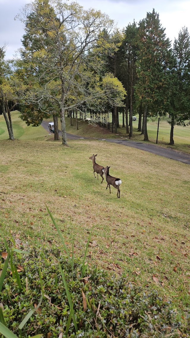 Yufu Kogen Golf Club - Photo 9