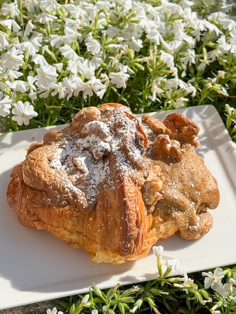 Camellias Bar & Roastery photo 3