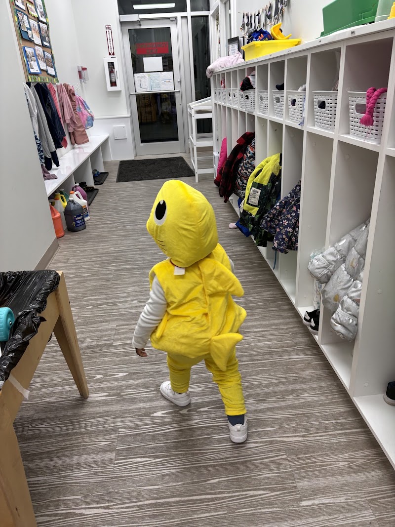 Little Stars Montessori Early Learning Center photo 3