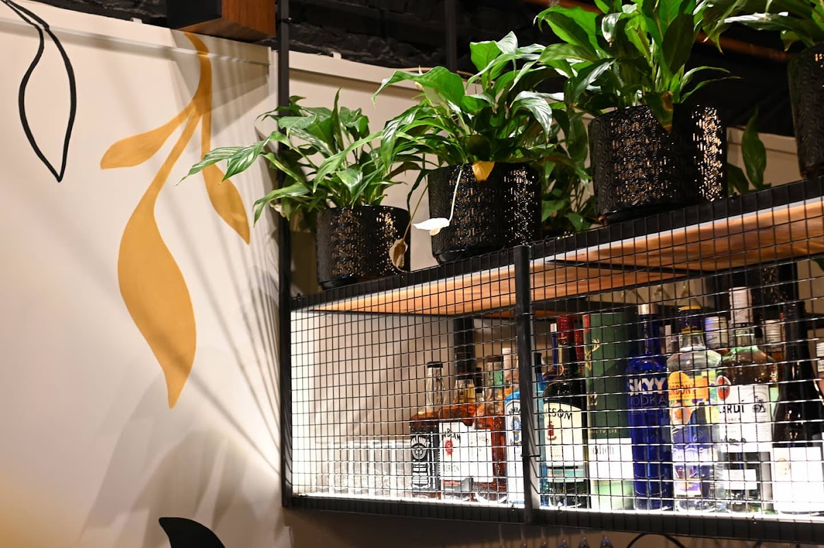 HIDEOUT in wellington