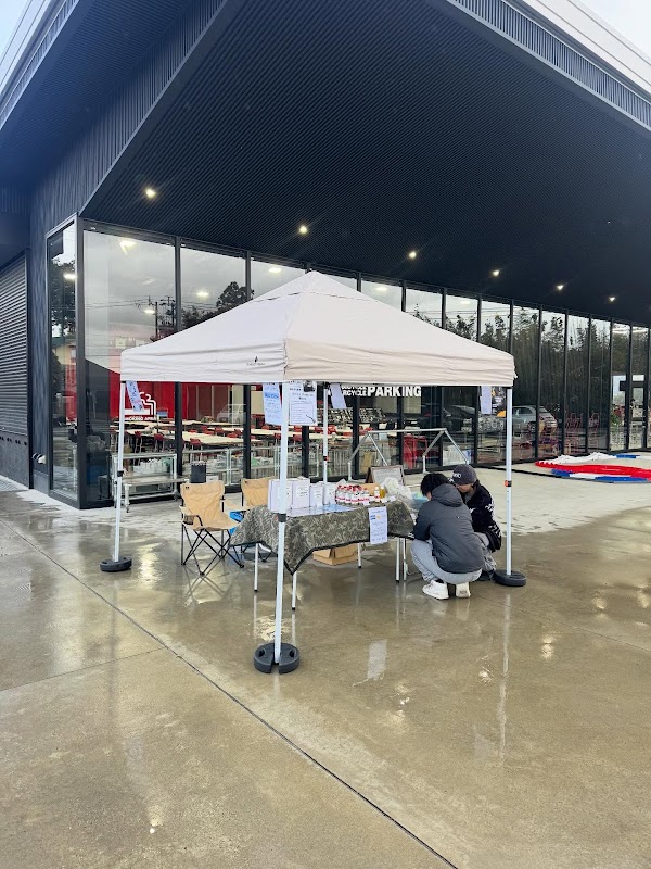 CLS inc. Marmitta Volare