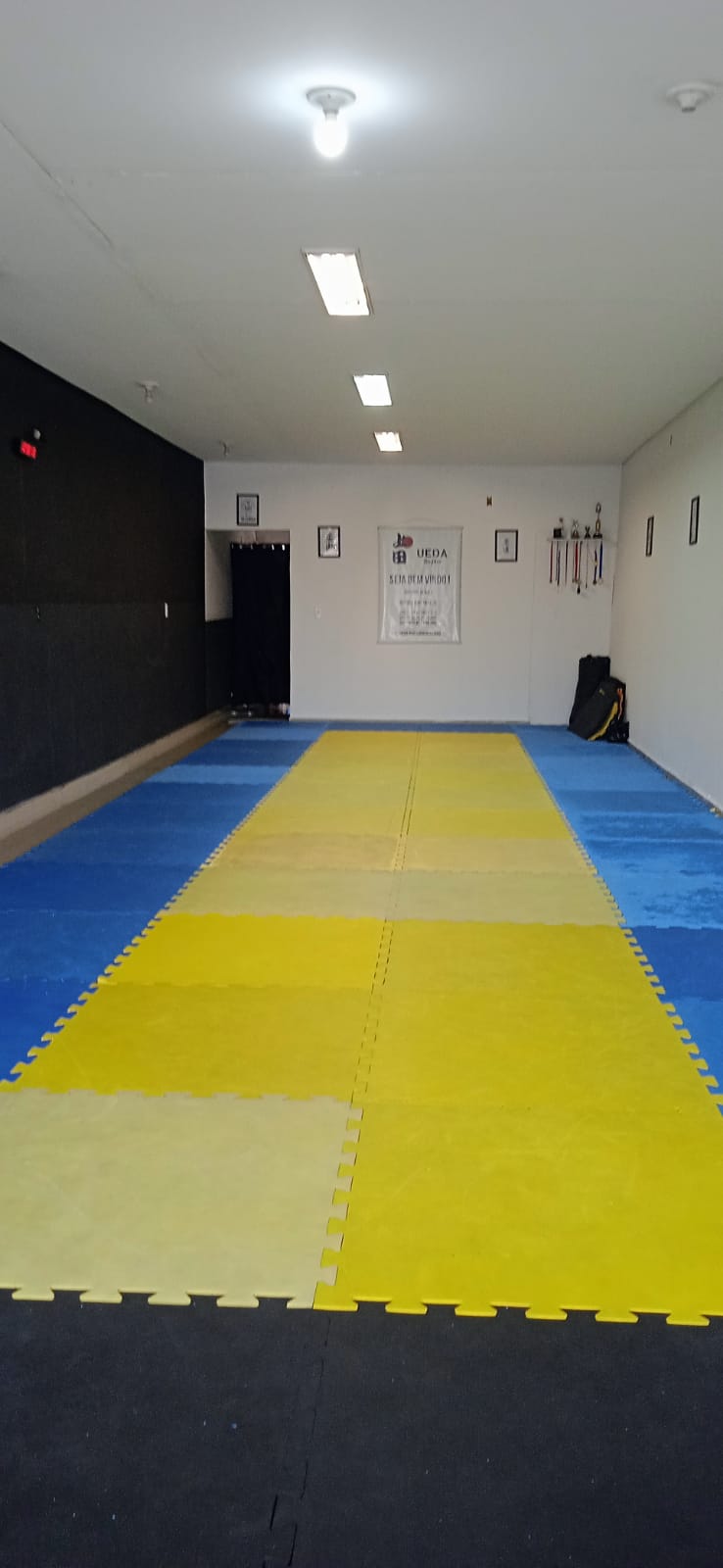 Ueda Jiu-Jitsu - Foto 1