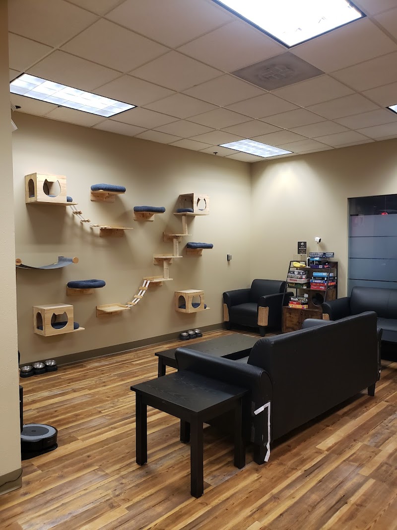 Planet Perk at City Center photo 4