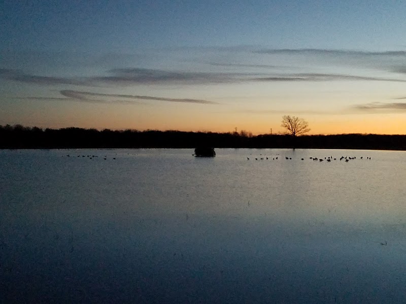ARKANSAS DUCK LODGE - Photo 6