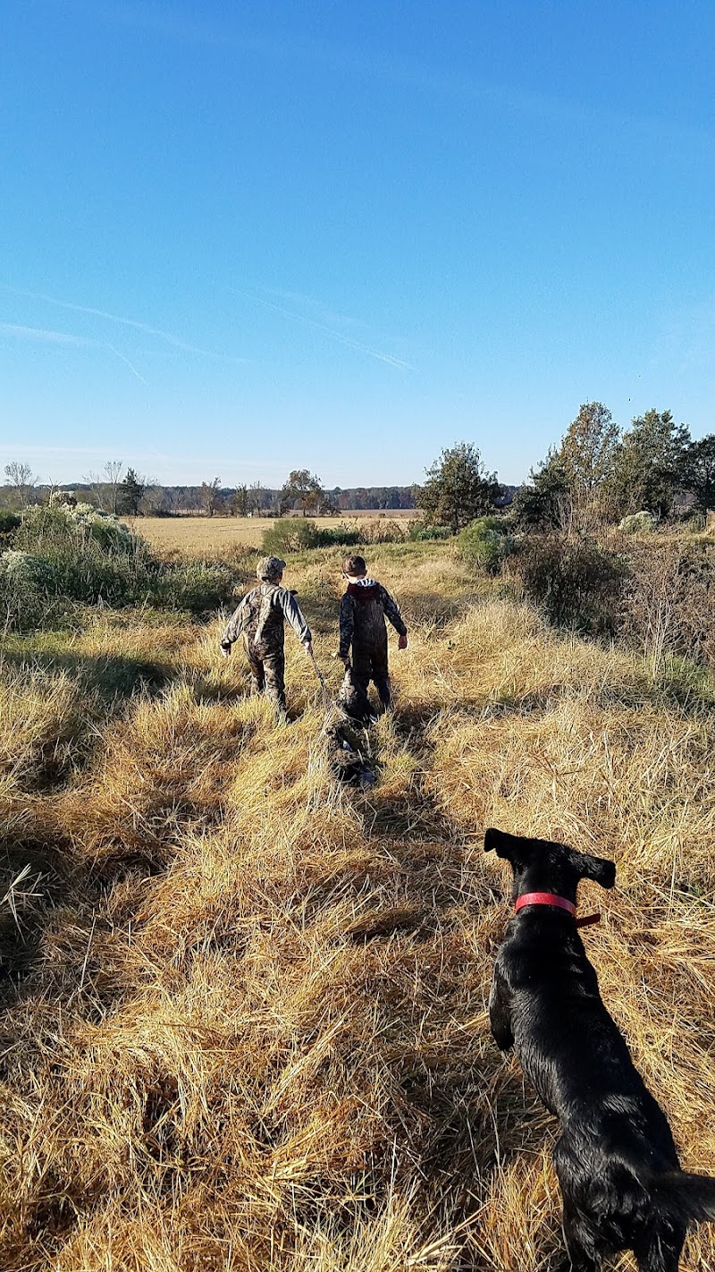 ARKANSAS DUCK LODGE - Photo 4