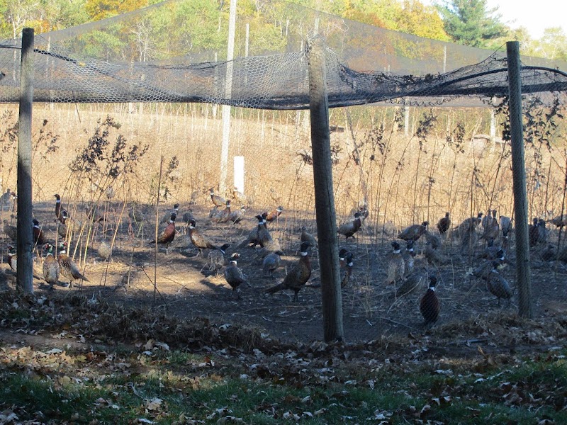 Oakwood Game Farm - Photo 5