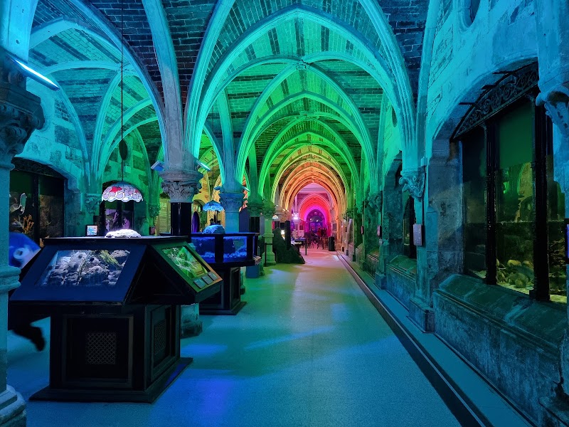 Brighton Aquarium