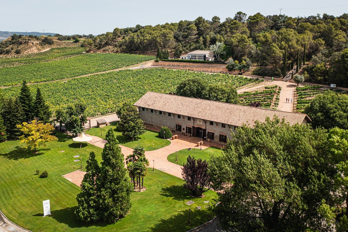 Viñas del Vero