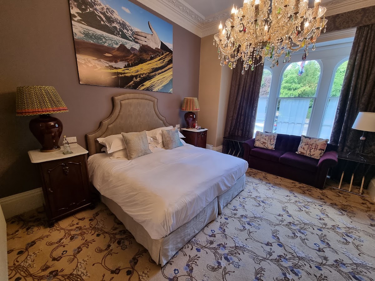 The Bird, Bath, dog-friendly hotel
