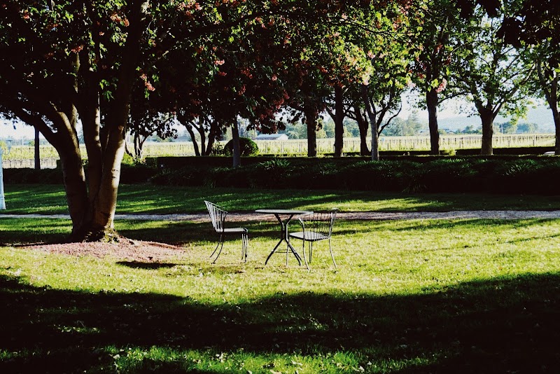 Monticello Vineyards