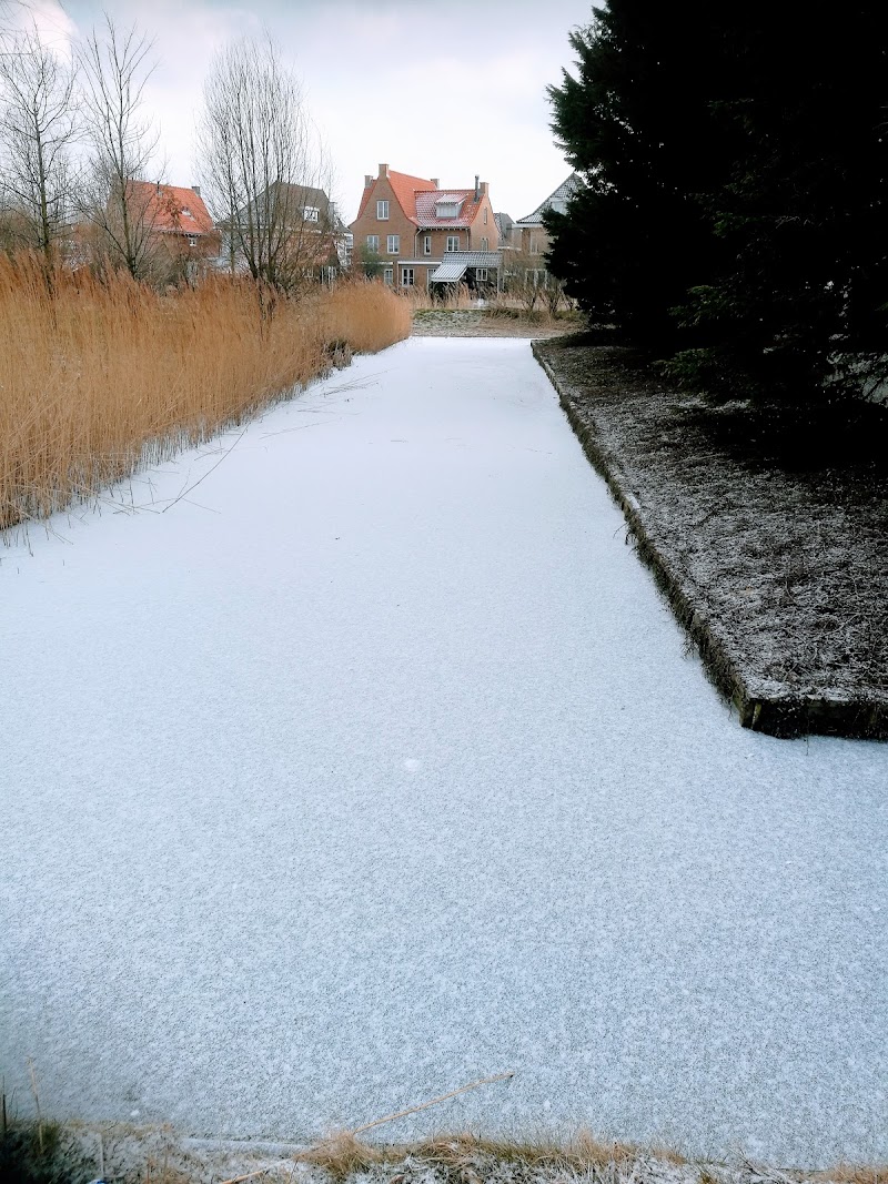 Rijswijksestraatweg