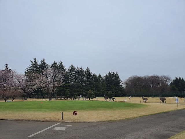 Bando Golf Club - Photo 2
