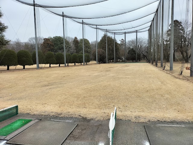 Bando Golf Club - Photo 8