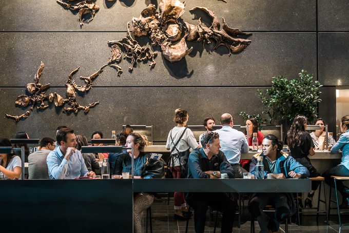 Hills Bros Cafe photo 1