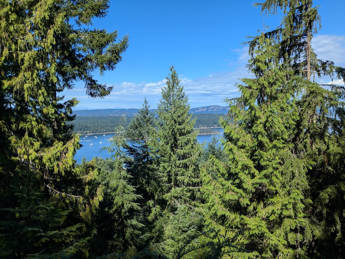 The Sanctuary Retreat — 4