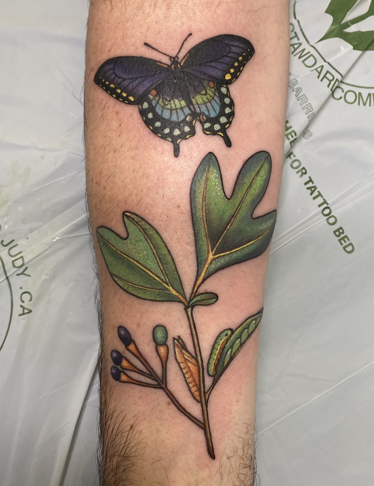 Wildwood Tattoos tattoo work — photo 2