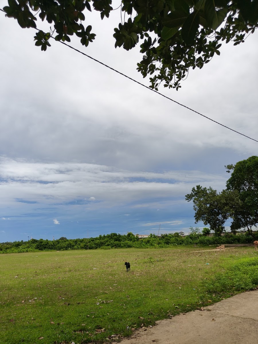 School Playground Google photo 3